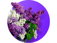 Lai krāšņs izlaidumu laiks!