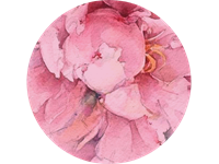 Vissirsnīgākie sveicieni Māmiņdienā!