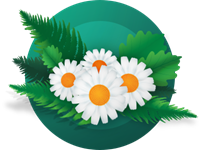 Saulainus un lustīgus Līgo svētkus!