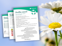 Darba lapas aizraujošai un drošai vasarai