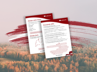 Lāčplēša diena un valsts svētki: darba lapas maziem un lieliem