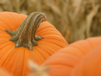 Darba lapas un tests par Miķeļiem