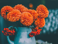 Sveicam Zinību dienā!