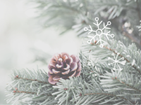 Priecīgus un gaišus svētkus!